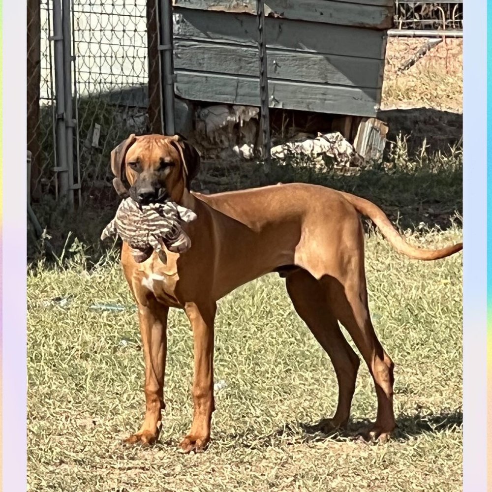 Meet your Posher, Jaa